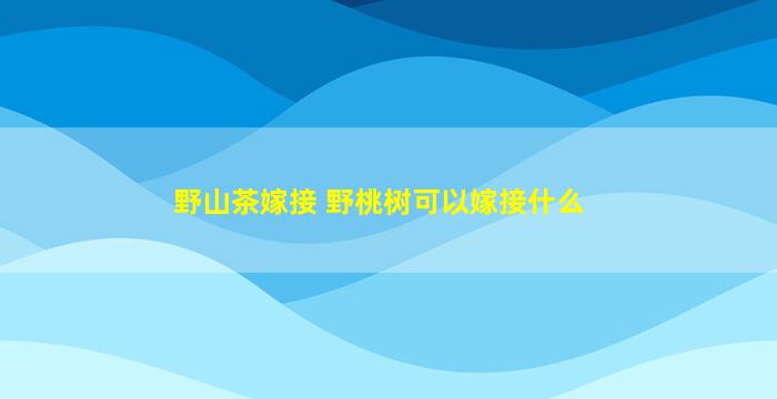 野山茶嫁接 野桃树可以嫁接什么